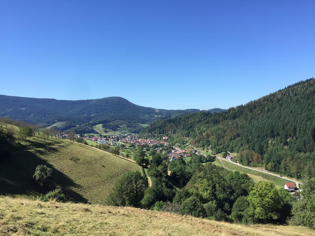 Ferienwohnungen Beilerstaedtle オッペナウ エクステリア 写真